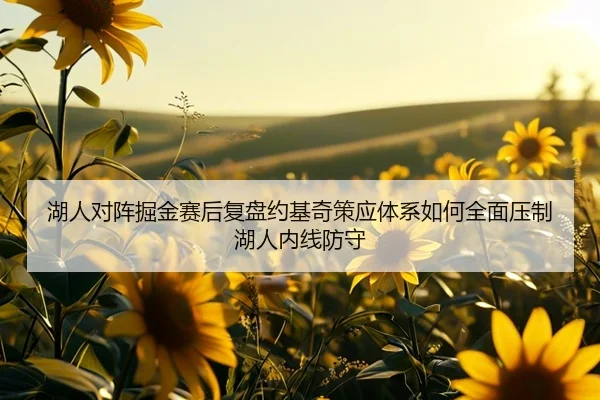 湖人对阵掘金赛后复盘约基奇策应体系如何全面压制湖人内线防守