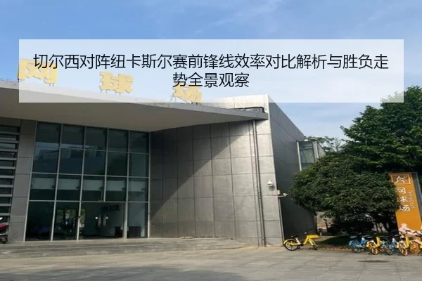 切尔西对阵纽卡斯尔赛前锋线效率对比解析与胜负走势全景观察