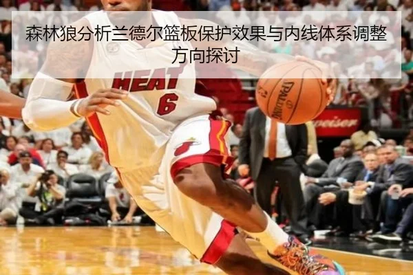 森林狼分析兰德尔篮板保护效果与内线体系调整方向探讨