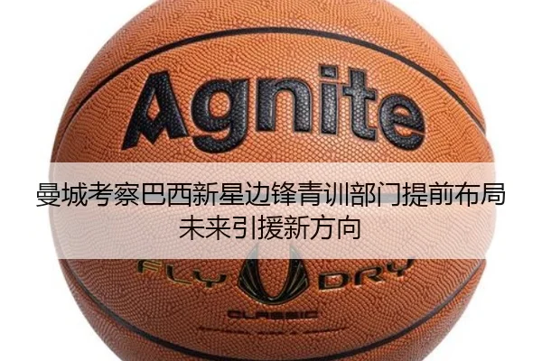 img_1783248779067_551_1_986.jpg