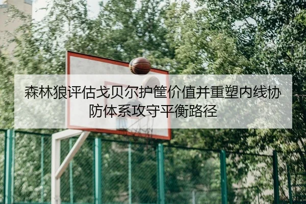 森林狼评估戈贝尔护筐价值并重塑内线协防体系攻守平衡路径